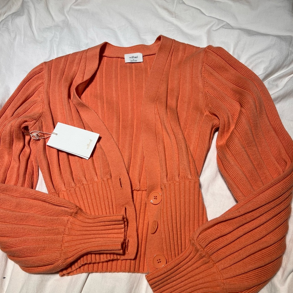 Aritzia sweater
